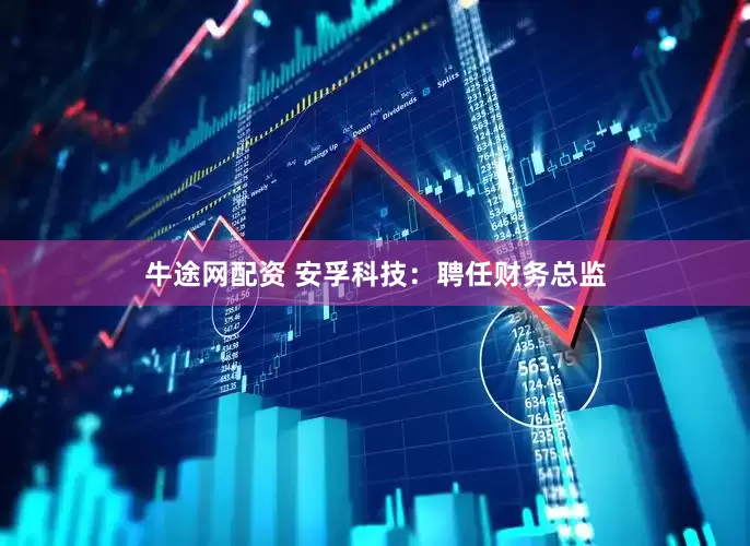 牛途网配资 安孚科技：聘任财务总监